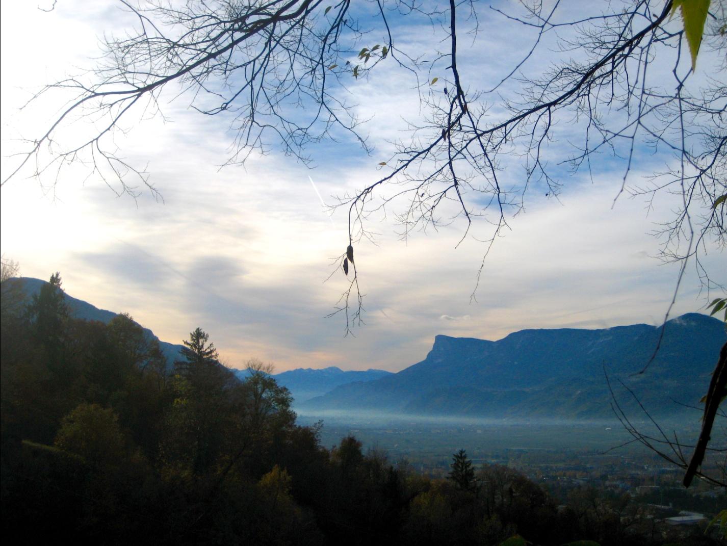 Mist in a Tirolean valley by maria rainier