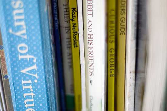 bookshelf childrens shelf by kendra Kantor