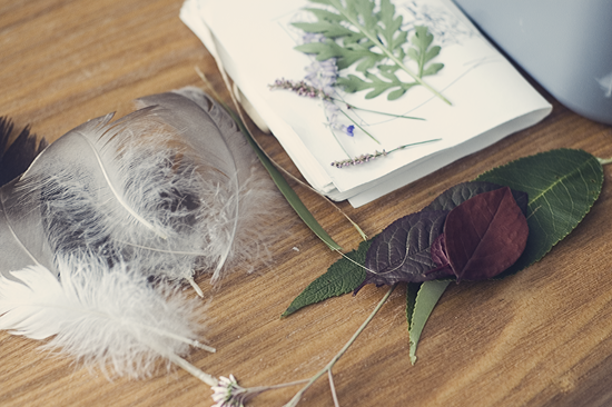 Nature Art Journal ©Kendra Kantor from Like a Bird Blog