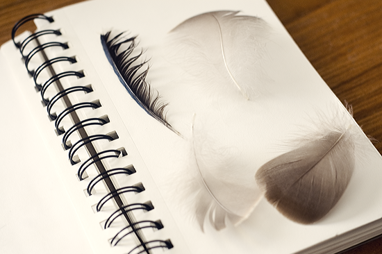 Nature Art Journal ©Kendra Kantor from Like a Bird Blog