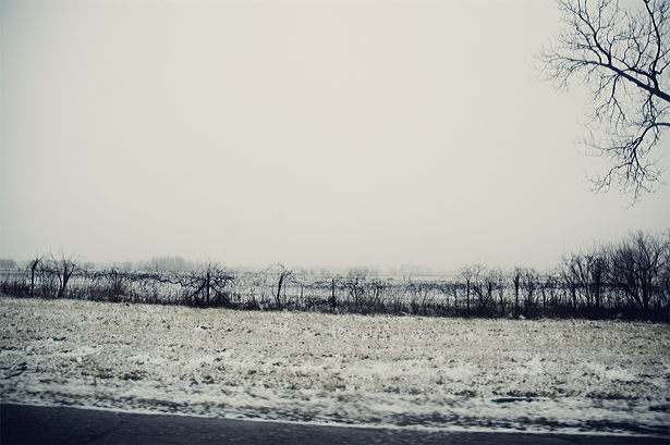 snowy landscape ©kendra kantor
