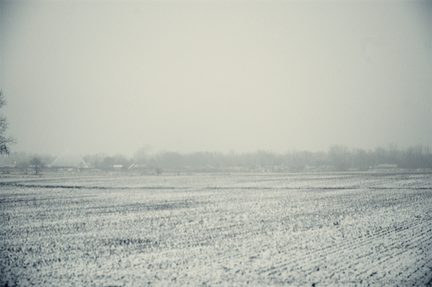snowy landscape  ©Kendra Kantor