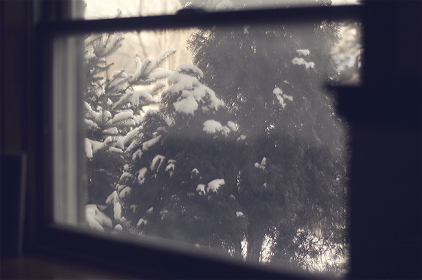Snow Outside My Window ©Kendra Kantor