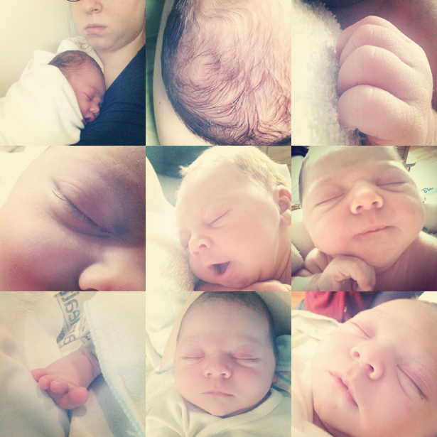 Picture 22: Baby Jeff April 28, 2012 ©Kendra Kantor:instragram grid from day 1 of life