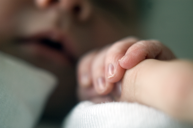 Picture 29: Baby Jeff April 28, 2012 ©Kendra Kantor: jeffrey's tiny fingers 