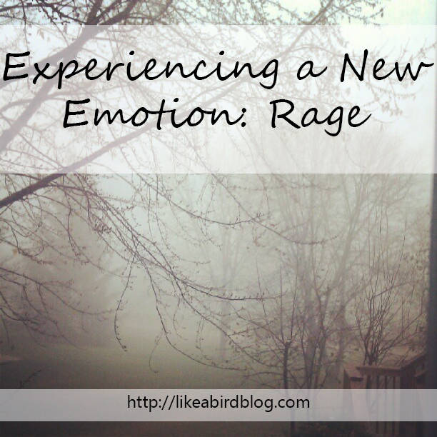 Experiencing a New Emotion: Rage