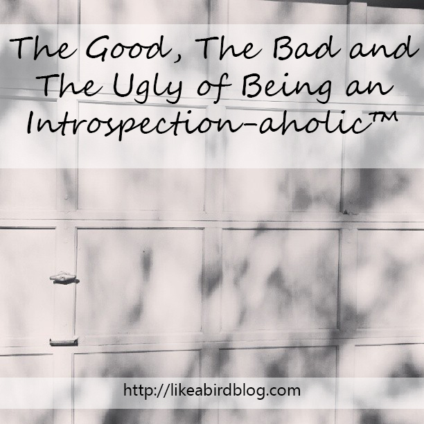 The Good, The Bad and The Ugly of Being an Introspection-aholic™