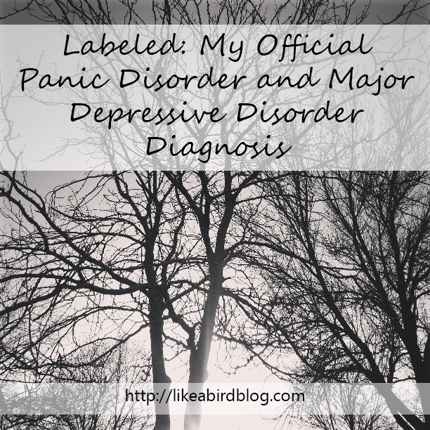 "Labeled: My Official Panic Disorder and Major Depressive Disorder Diagnosis