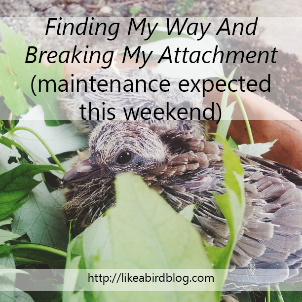 Finding My Way And Breaking My Attachment (maintenance expected this weekend)  by kendra kantor